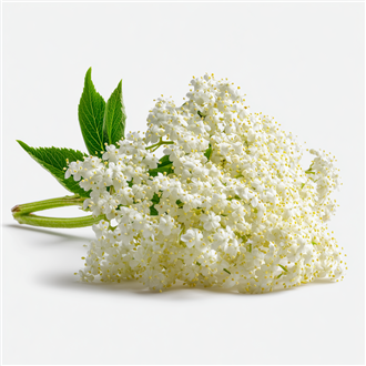 Elderflower (Inawera)