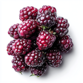 Boysenbær (Jungle Flavor)