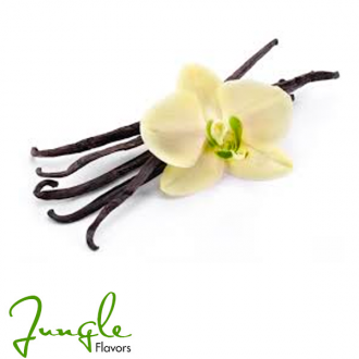 Vanilla (Jungle Flavor)