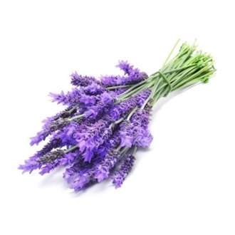 Lavender (FlavourArt BULK)