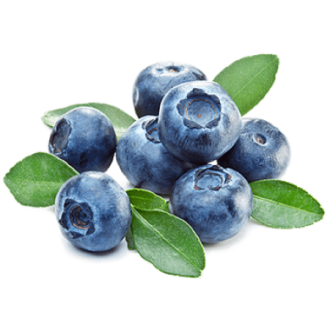 Blueberry (Medicine Flower)