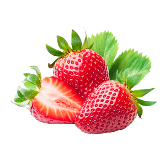 Strawberry (Medicine Flower)