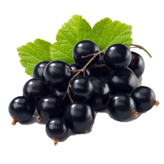 Sharp Blackcurrant (Molinberry BULK)