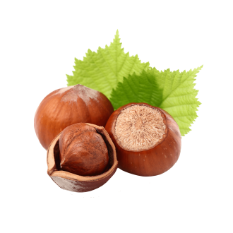 Nut Hazelnut (Molinberry BULK)
