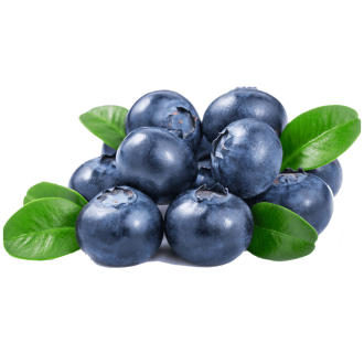 Bilberry (FlavourArt BULK)