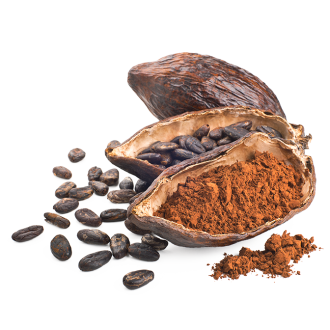 Cocoa (FlavourArt BULK)