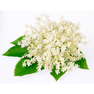 Elderflower (Inawera)