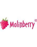 Molinberry (BULK) - PL